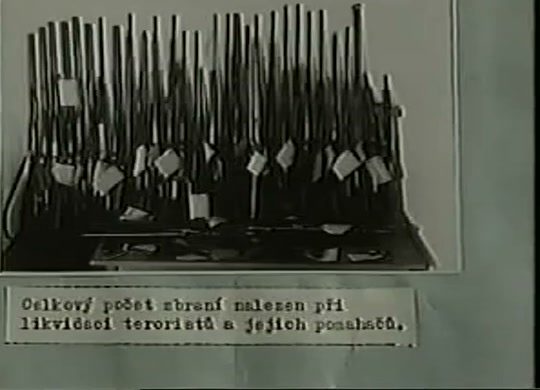 A period photograph of several dozen rifles and shotguns stood upright in racks with numbered tags, a typed Czech caption pasted beneath giving the total number of weapons found in the liquidation of the terrorists and their helpers
