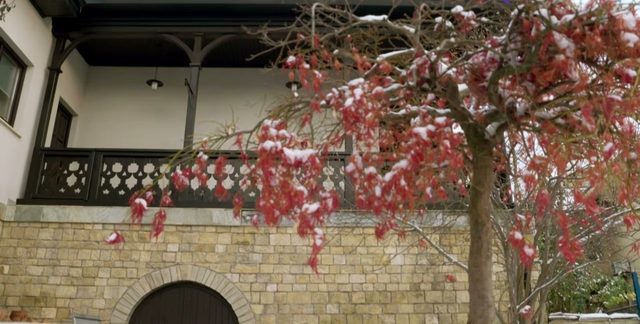 The wall and garden of an old house in Iasi, filmed from the street