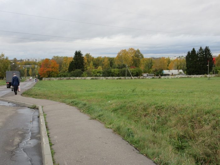 A road at the edge of a town with a wide grass field beside it, a woman walking away with shopping bags, wooden houses and autumn trees along the far side