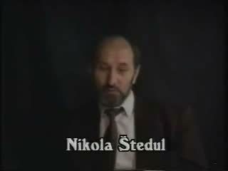 A television frame of Nikola Stedul, bearded and in a suit and tie, speaking to camera against a dark background, his name captioned beneath him