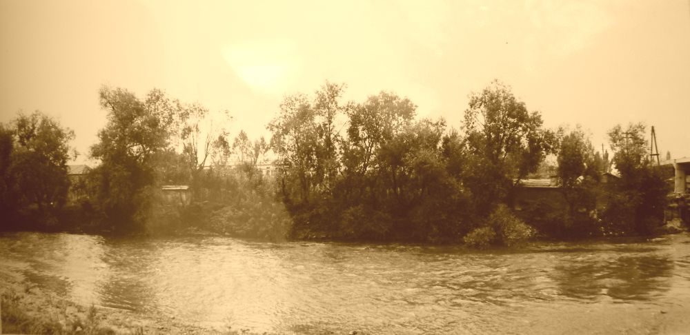 A sepia photograph of a river running fast past a wooded bank, with low houses and the roofs of a works visible through the willows