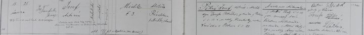 A strip cut from the handwritten Michle parish register of 1894 showing the birth entry, with a later note added in the margin