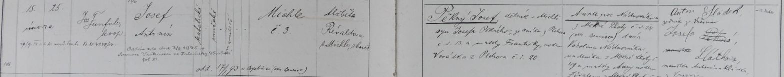 A strip cut from the handwritten Michle parish register of 1894 showing the birth entry, with a later note added in the margin